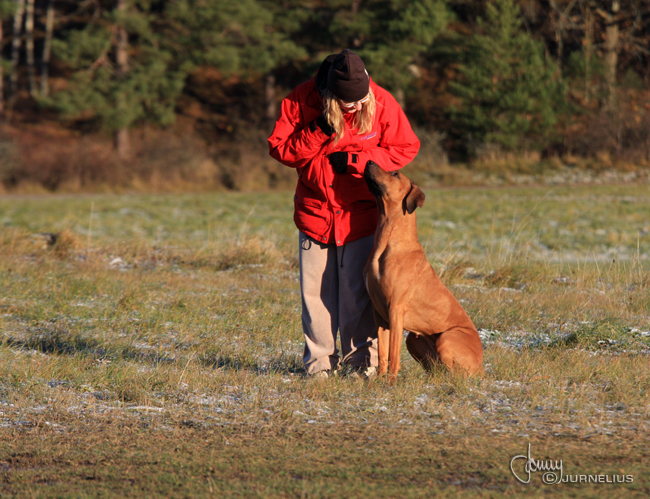 Annika and Vimla training!