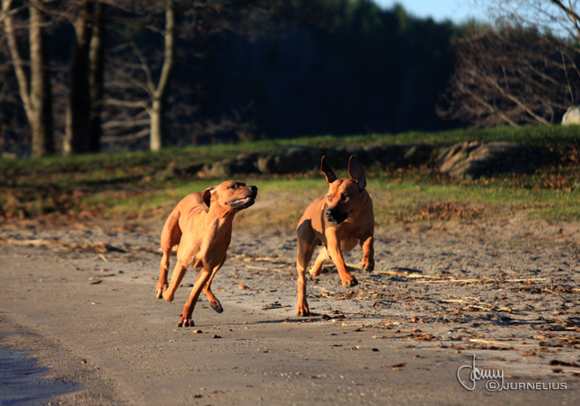 Running on the beach!