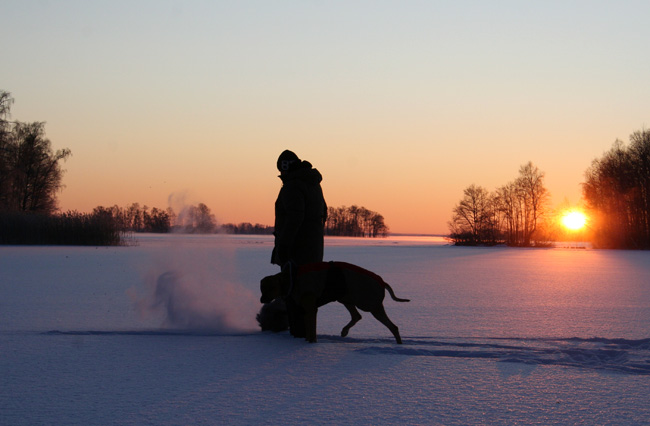 Marita and the dogs!