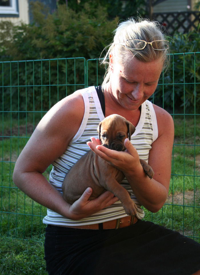 Minos puppies almost 4 weeks!