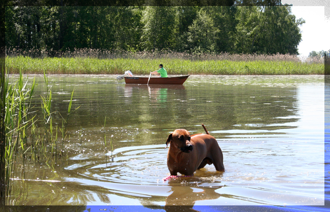 Taking a dip in Hjlmaren Lunger!