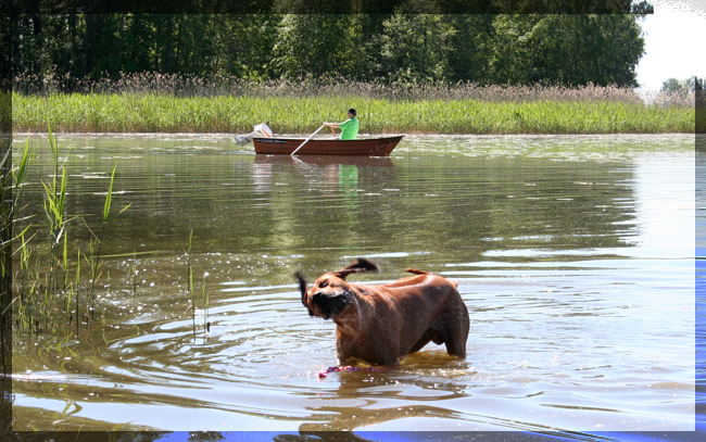 Taking a dip in Hjlmaren Lunger!