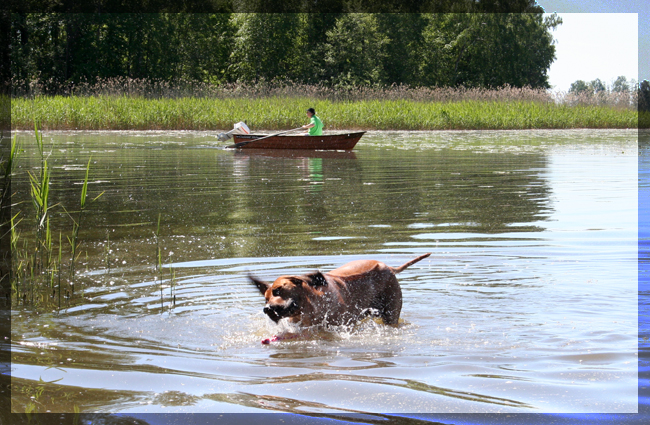 Taking a dip in Hjlmaren Lunger!