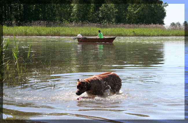 Taking a dip in Hjlmaren Lunger!