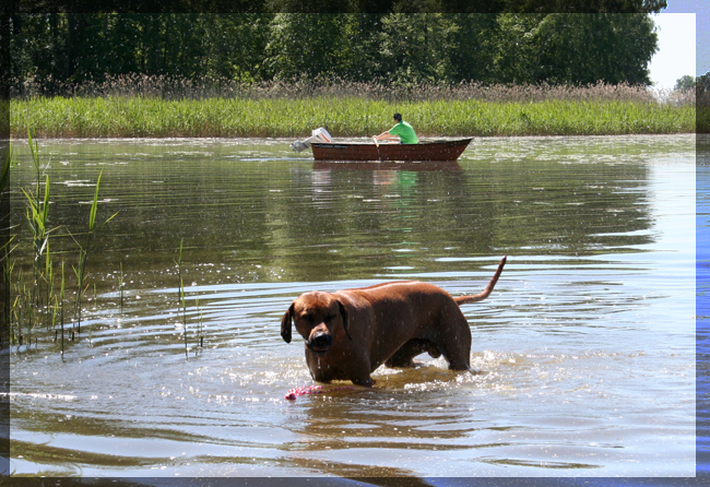 Taking a dip in Hjlmaren Lunger!