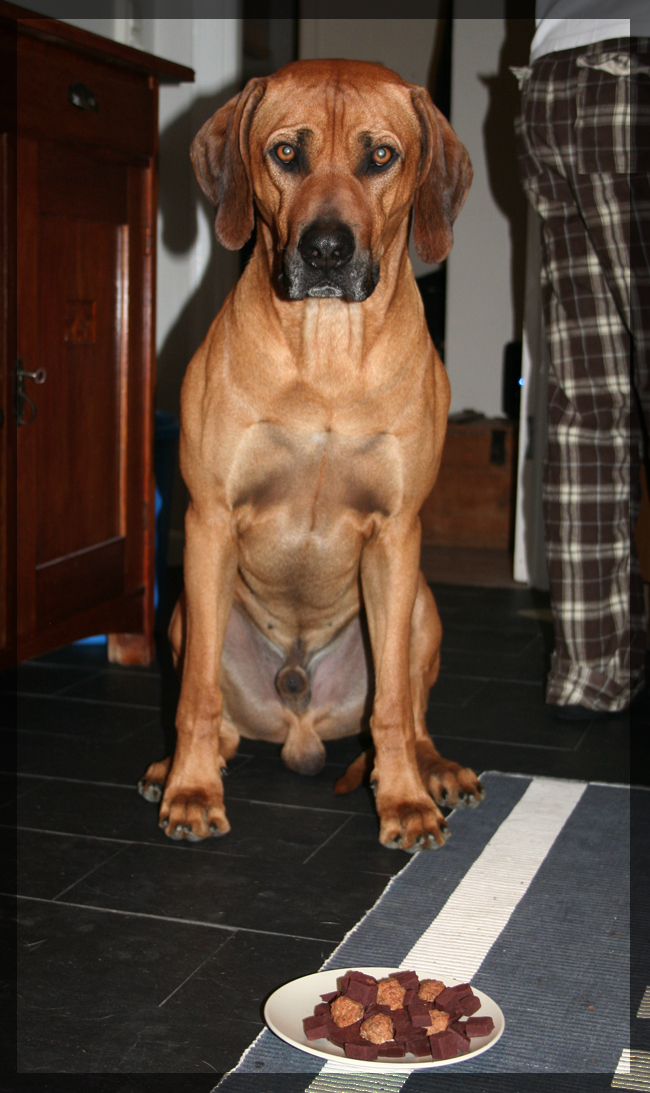Minos and his cake on his 3rd birthday! Minos and his cake on his 3rd birthday!