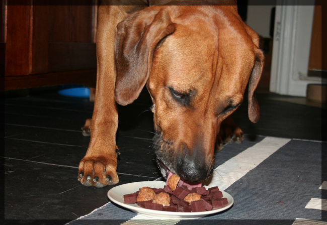 Minos and his cake on his 3rd birthday!