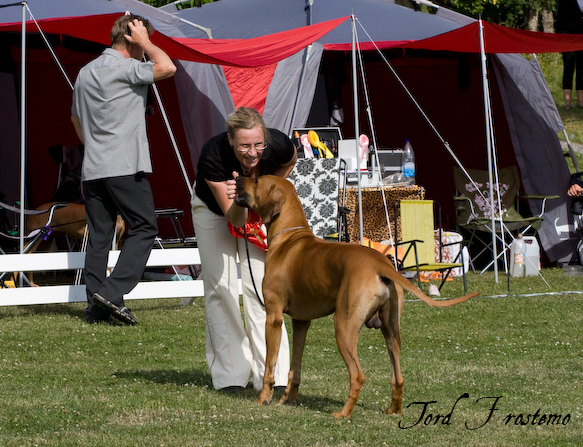 Gorgeous Minos wins BISS WW Specialty Show 2008!