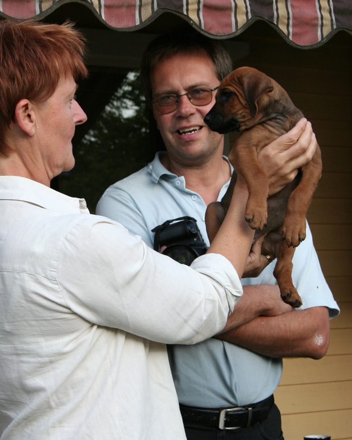 Minos gorgeous puppies 6 weeks!