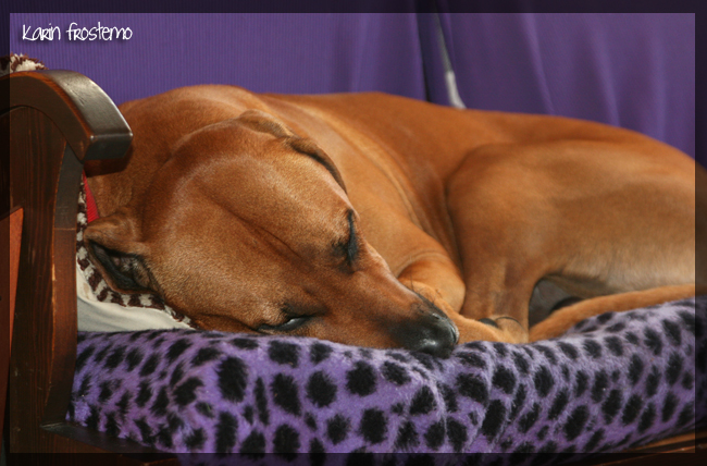 Minos relaxing! Minos relaxing!