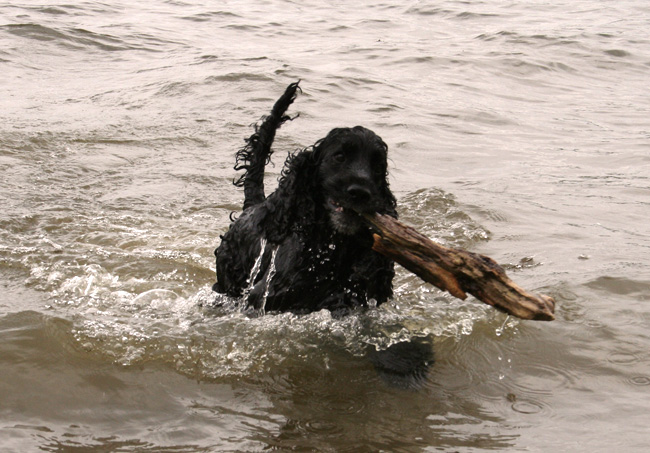 Hampus bathing!