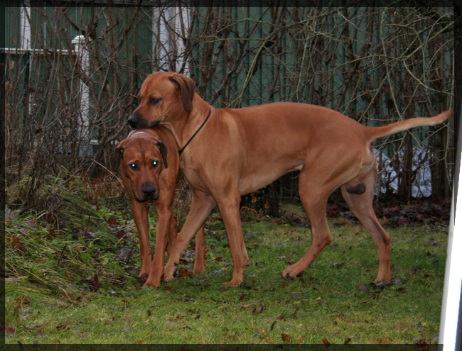 Minos and Asla! Minos and Asla!