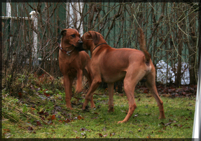 Minos and Asla! Minos and Asla!