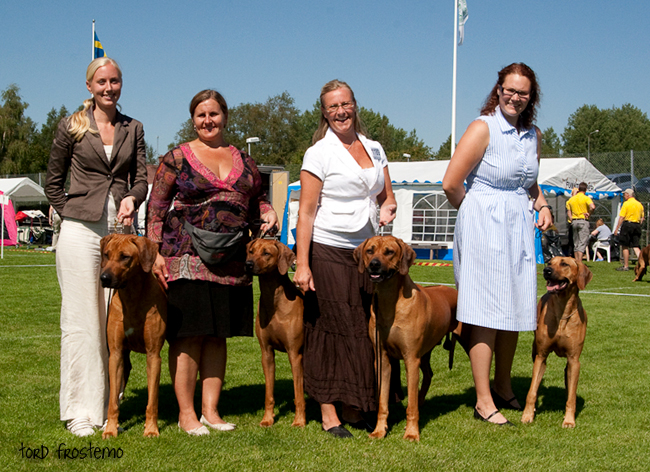 African Hunter's (Wesley, Bim, Minos and Bonita)! African Hunter's (Wesley, Bim, Minos and Bonita)!