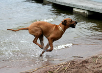 Minos badar i Hjlmaren!