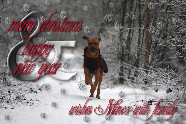 Christmas Card 2009 - Minos! Christmas Card 2009 - Minos!