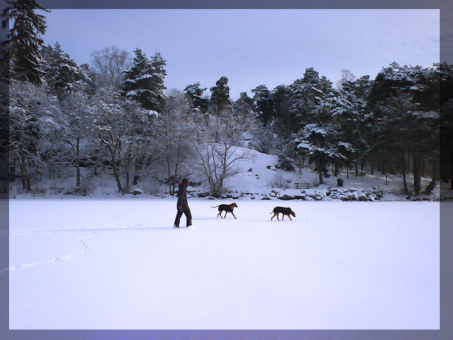 Out on the ice!