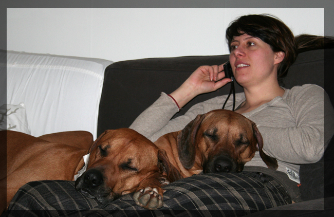 Minos, Jenny and Vimla in the sofa! Minos, Jenny and Vimla in the sofa!