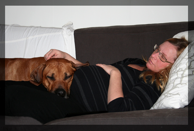 Minos and Annika taking a nap in the sofa! Minos and Annika taking a nap in the sofa!