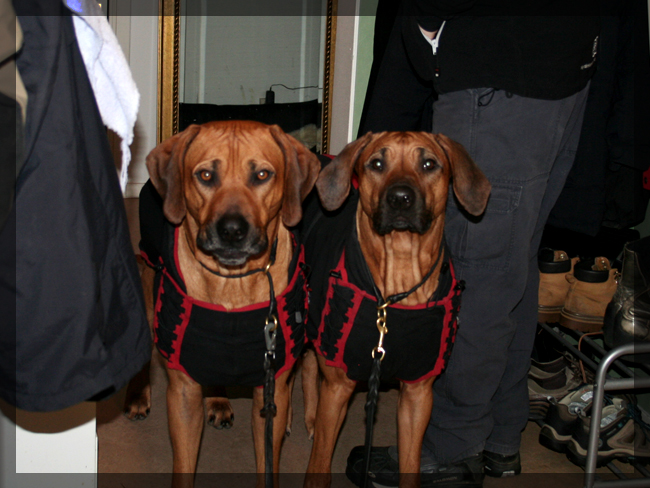 Please Annika, may we step outside?! Please Annika, may we step outside?!