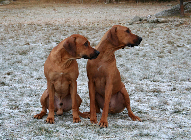 Sweet brothers!