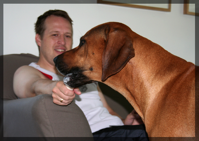 Lelle and Minos! Lelle and Minos!