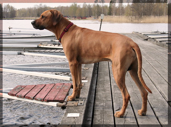Minos at the lake! Minos at the lake!