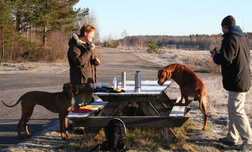 Minos vill vara med och fika!