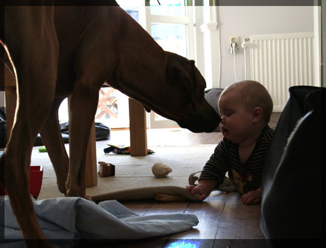 Vimla is giving Axel a kiss! Vimla is giving Axel a kiss!