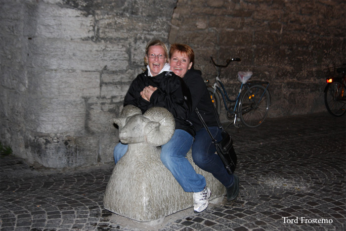 Annika & Karin at Gotland on a sheep!