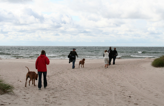 Playtime at Gotland - Tofta beach!