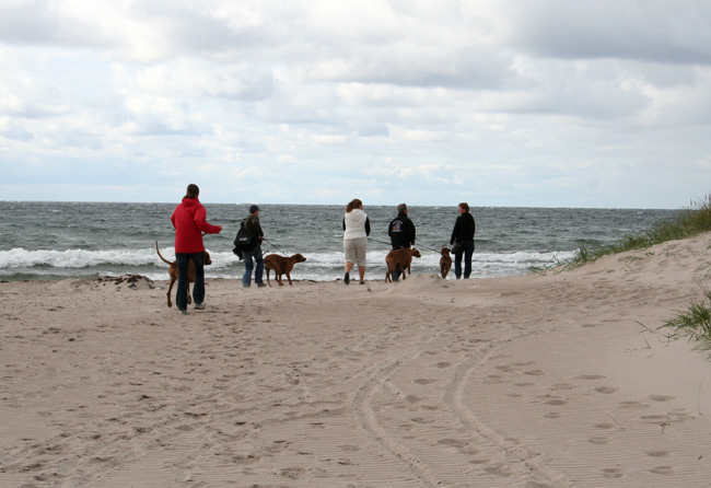 Playtime at Gotland - Tofta beach!