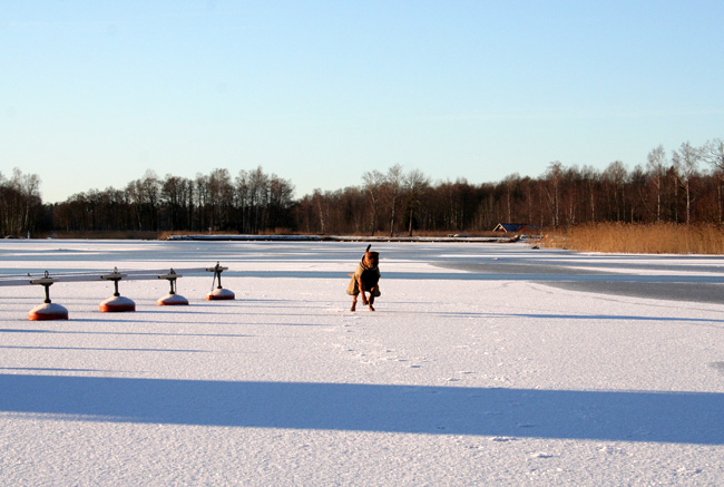 Minos having so much fun on the ice!