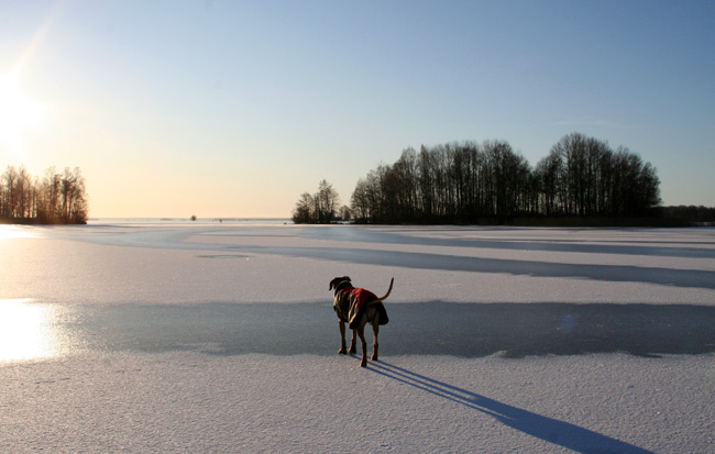 Taking a walk on the ice!