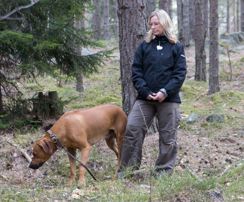 Minos chillar i skogen!