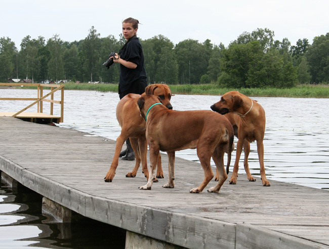 Samling p bryggan!