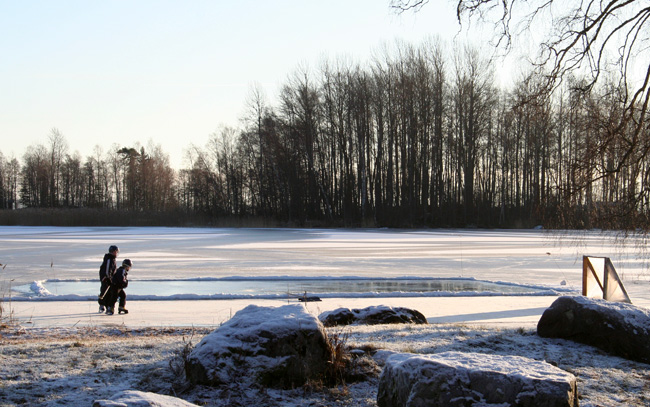 Hockey rink at the lake!