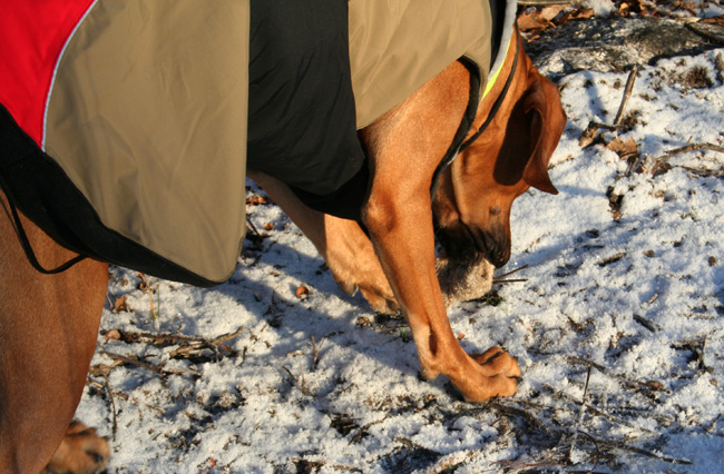 Eating mums glove!