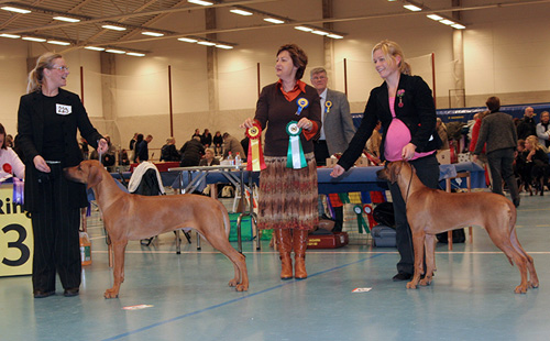 Minos - BIR, domare Annika Ulltveit-Moe & Hamnuddens Fendi - BIM