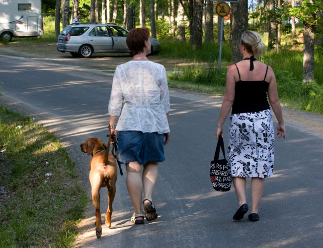 Alva, Karin och Annika!