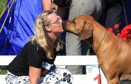 Minos wins best male at World Winner Specialty 2008!